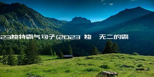 2023独特霸气句子(2023 独一无二的霸气时刻)